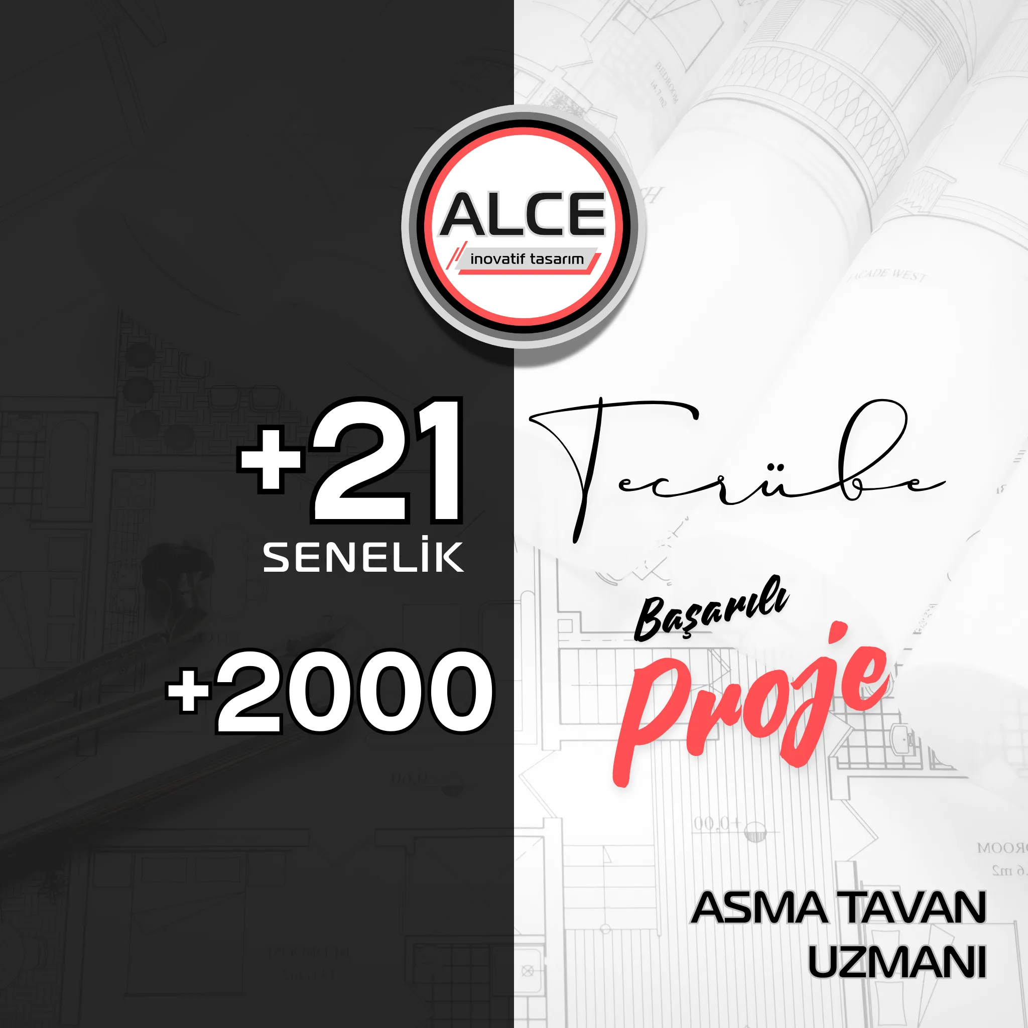 Asma Tavan Uzmanı Alce İnovatif